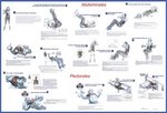 Abdo-pecto.jpg