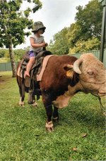 Guen bull riding.jpg