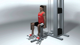 1662333782455.png 1662333782455.png