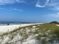 IMG_3915.jpg
