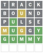 Wordle 05.30.24.jpg