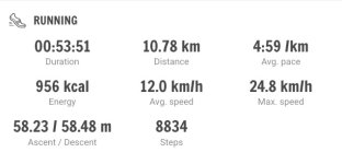stadtlauf.jpg