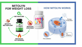 1774709351087.png 1774709351087.png