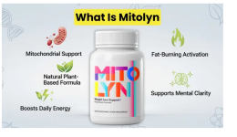 1774709351074.png 1774709351074.png