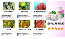 1774709351122.png 1774709351122.png