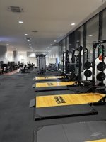 IMG_4553.jpeg IMG_4553.jpeg