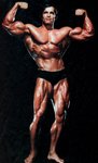 arnoldBodybuild.jpg