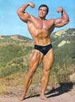 arnold-schwarzenegger-2.jpg