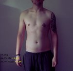 Bauch Vorderkörper.jpg Bauch Vorderkörper.jpg