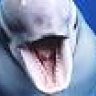 white_dolphin