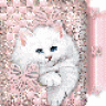 cathyysh