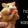 Carrot1
