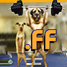 .FF