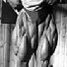 tom platz