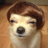 JOSEFUMI JR.