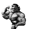 jefepatillas