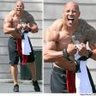 Mr.Hercules