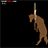 hunghorse