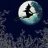wicked witch