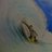 surfer_canario