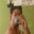Shamir Ernesto