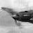 Sturmovik