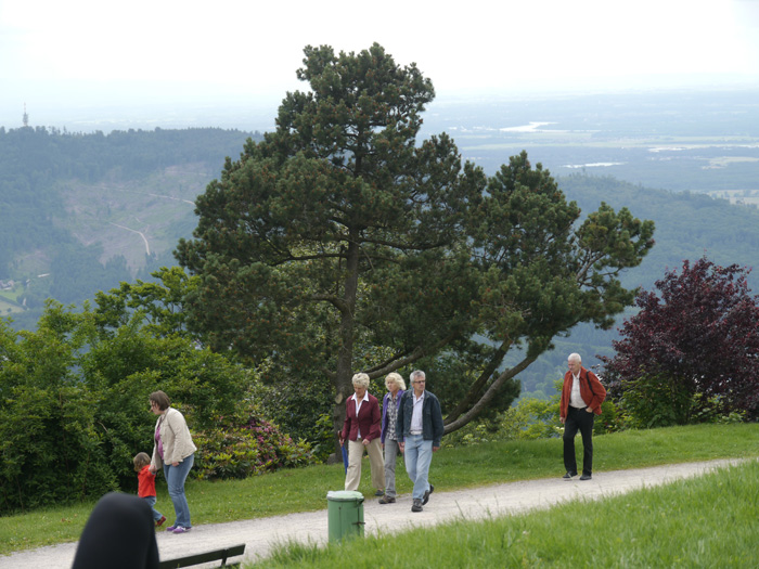 Der perfekte Sommerurlaub: Wandern in Deutschland