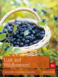 Buchvorstellung: Es ist Sommer - Raus und Wildbeeren sammeln!