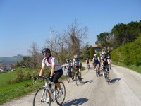 Pfitzenmeier Rennrad Reise nach Riccione/Italien