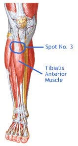 Most Neglected Muscle