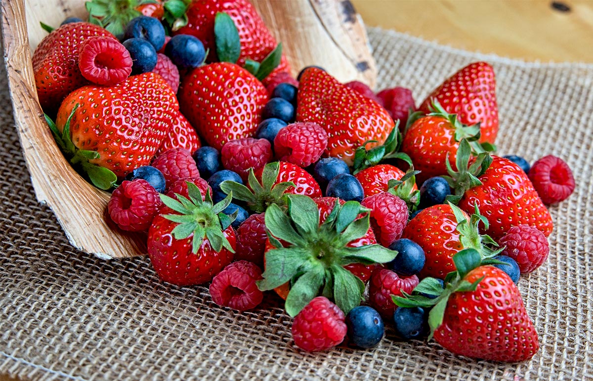 Rich Berry Benefits Attract Berry Supplement Manufacturers!