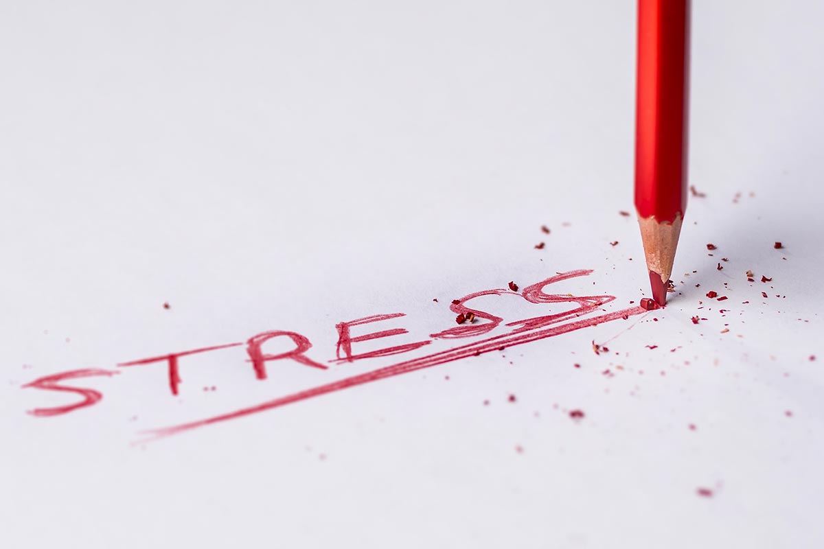 Transforming Stress into Strength: The Power of Exercise and Healthy Habits