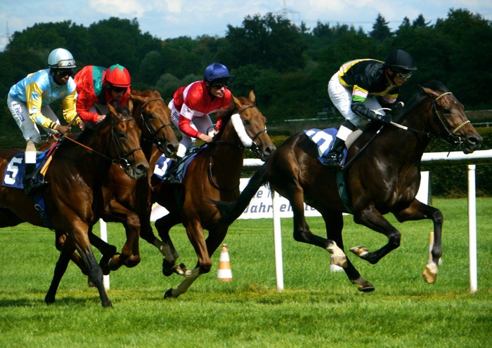 Baden-Racings: Pferderennwoche 2011 bei  Baden-Baden