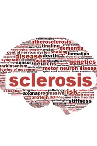 Things Health/Fitness Professionals Need to Know About Multiple Sclerosis