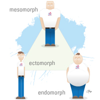 Decoding Your Physique: What Shape Are You? Discover Your Somatotype