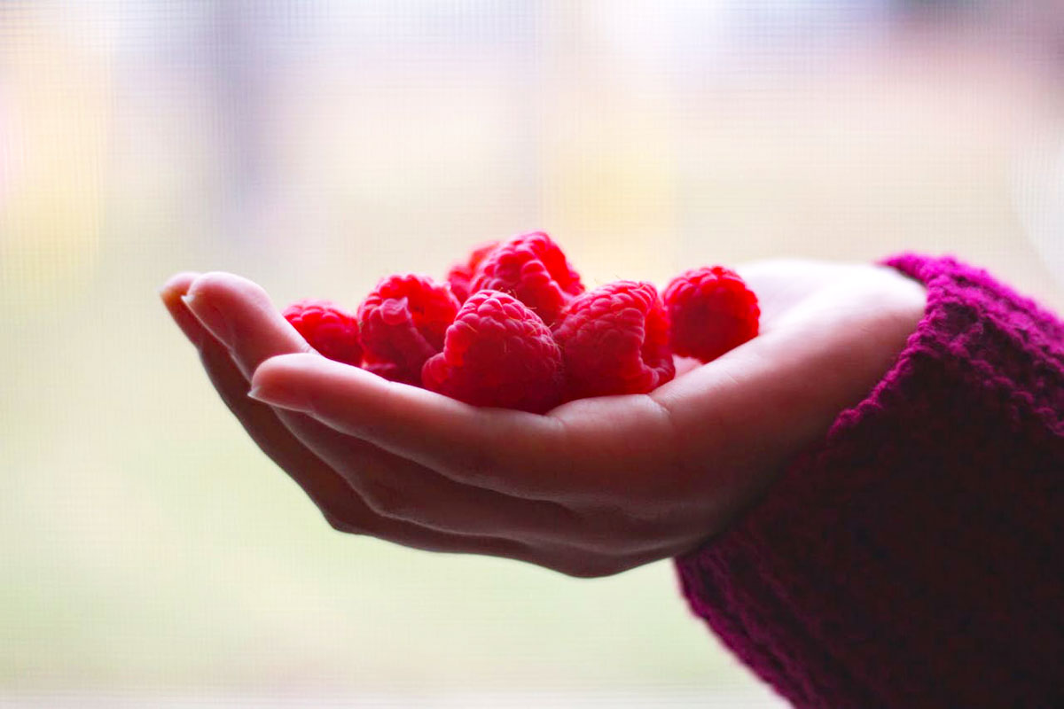 Frühjahrskur für deine Fitness: Diese Früchte sind präbiotisch
