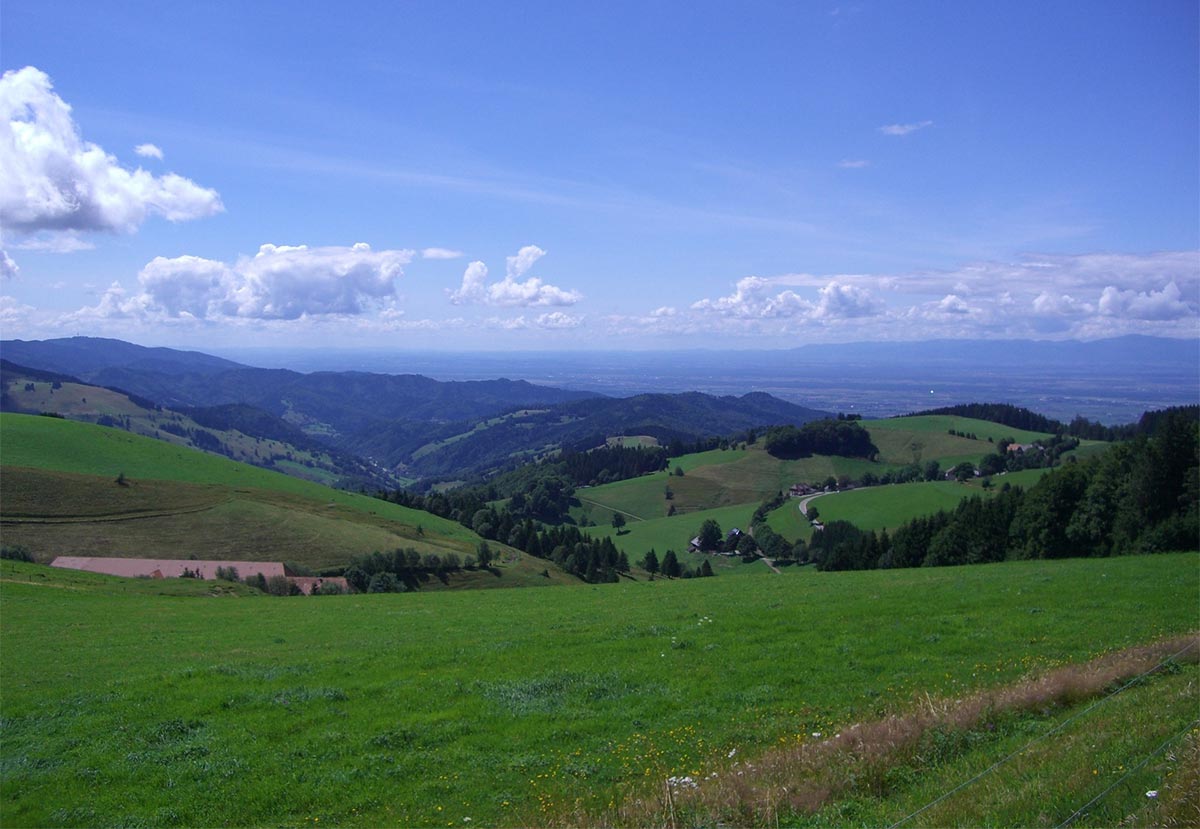 Zu Fuß durchs Münstertal - Wanderwege