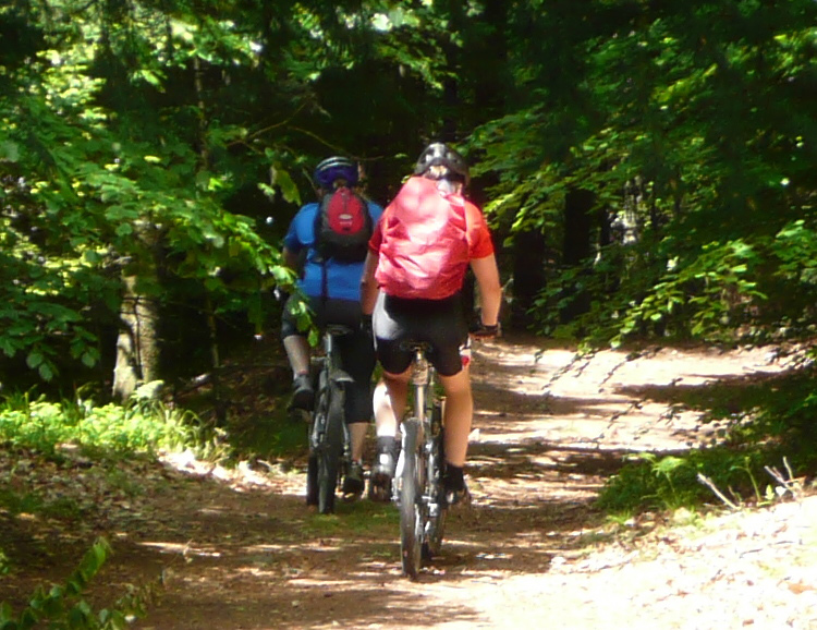 Der Wald ruft, der Sommer kommt