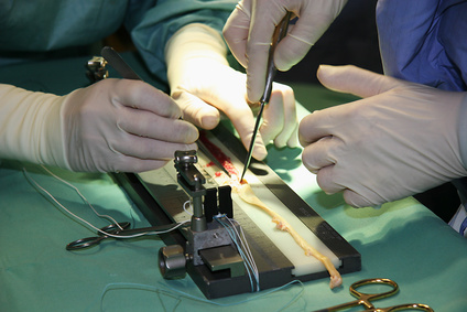 Desgarramiento de un ligamento: ¿cuál operación es la mejor?