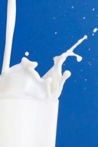 Los lácteos engordan, ¿mito o realidad?