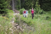 Wandern am Kammweg Erzgebirge-Vogtland