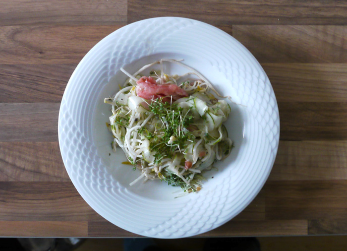 Salat mit Mungbohnensprossen oder Sojabohnensprossen