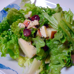 Fruit Salad with Lemon Poppyseed Dressing