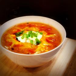 Mexican Turkey Soup