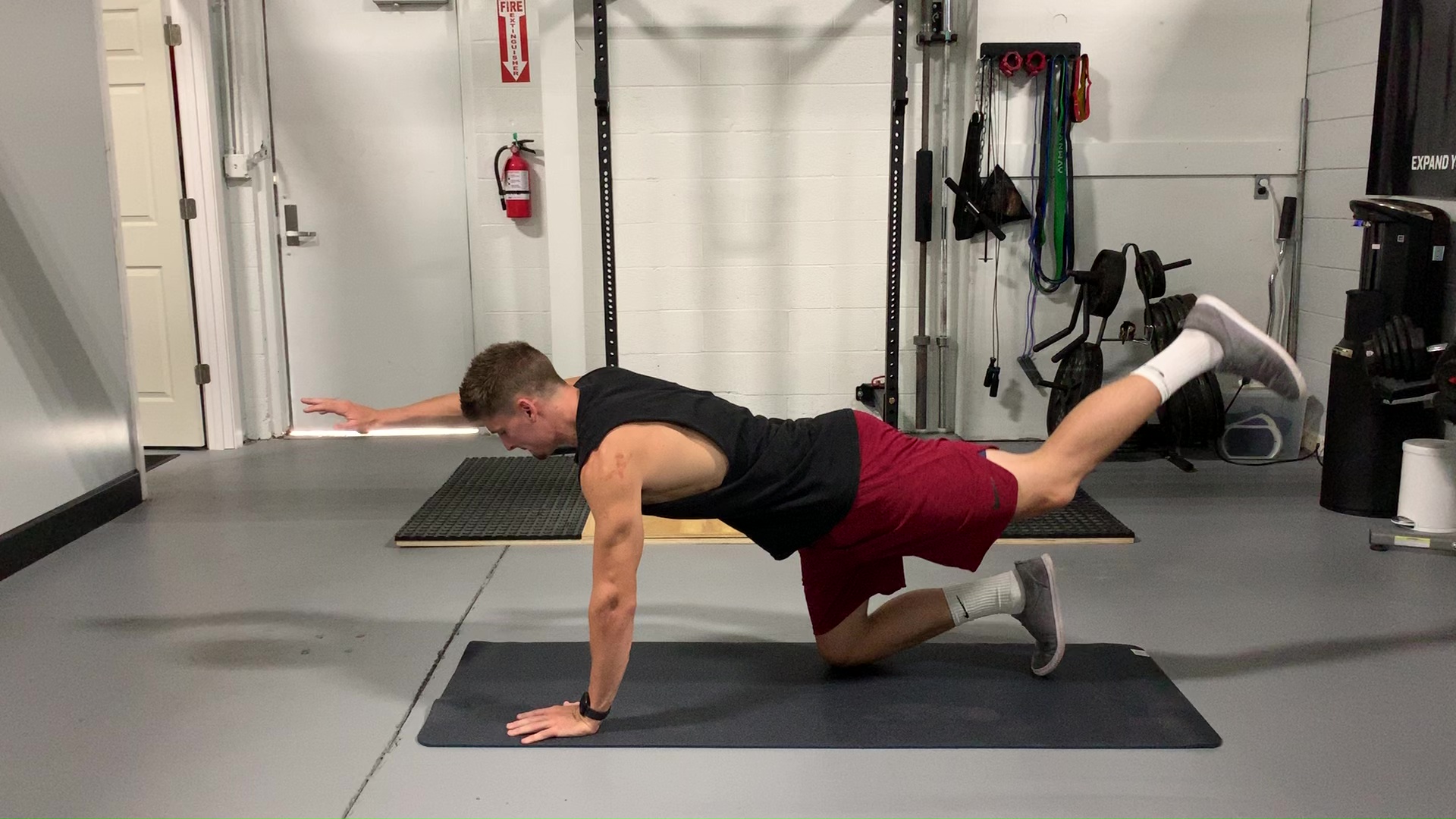 Quadruped Arm Opposite Leg Raise