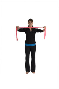 Triceps Extensions with Band - Both Arms