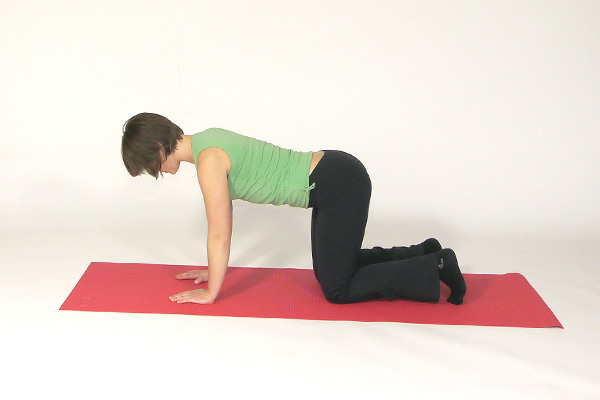 Gluteal (Buttocks), Back, & Shoulder Muscle Exercise